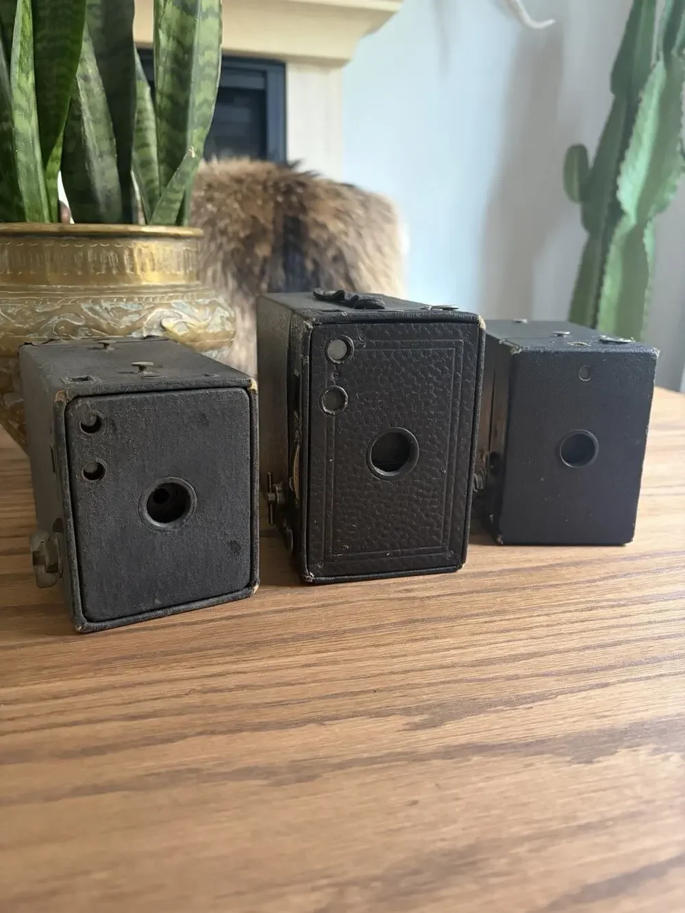 Antique Kodak Eastman Box Camera Lot Film Cameras Lot Of 3